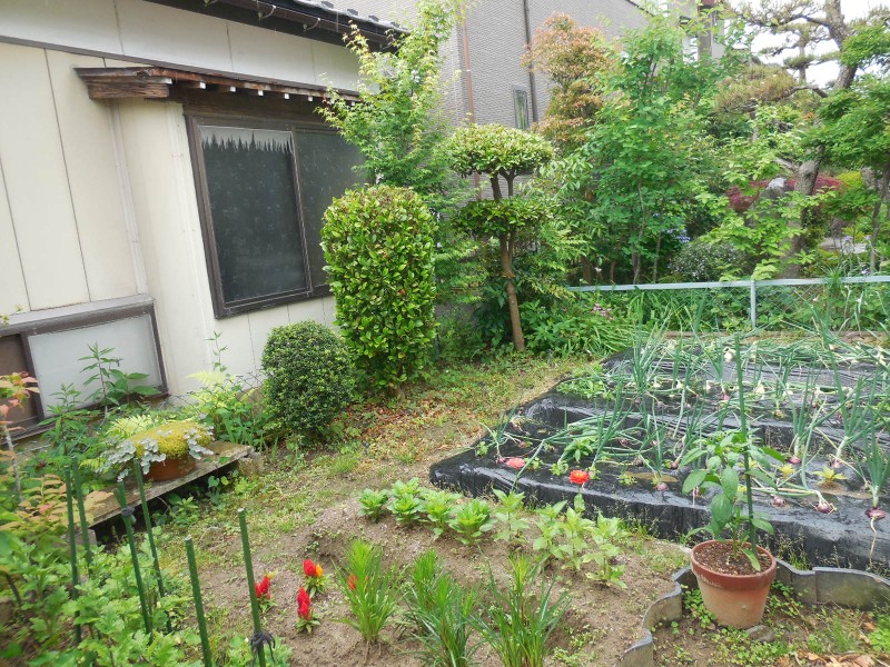 クリックで写真を表示:物件番号:I102571/居住用/売家/居住中/新潟県新潟市北区/1,400万円/早通南小学校/早通中学校/早通駅まで徒歩6分。店舗作業場付きでいろんな用途にお使いできます。 物件番号:I102571/居住用/売家/居住中/新潟県新潟市北区/1,400万円/早通南小学校/早通中学校/早通駅まで徒歩6分。店舗作業場付きでいろんな用途にお使いできます。